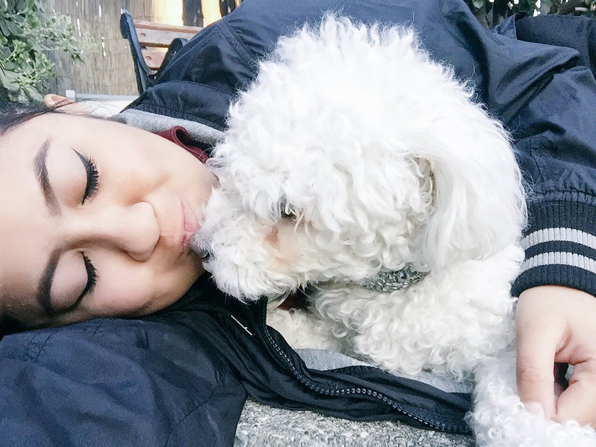 princesschappyy's tweet photo. Lol oh yeah, this happened yesterday. #meetIzzy 💟 https://t.co/InmmwWYRLv