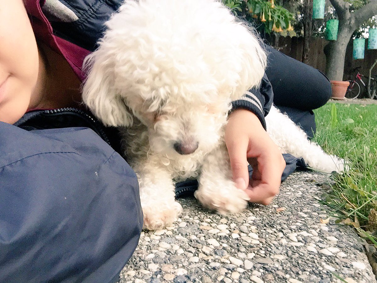princesschappyy's tweet photo. Lol oh yeah, this happened yesterday. #meetIzzy 💟 https://t.co/InmmwWYRLv
