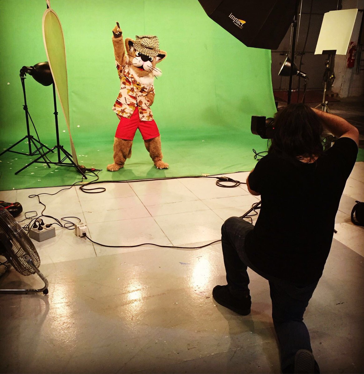 EhGatoCombate's tweet photo. Hoy sesión de fotos 😎

Miau.- https://t.co/mV1CbNIiC8