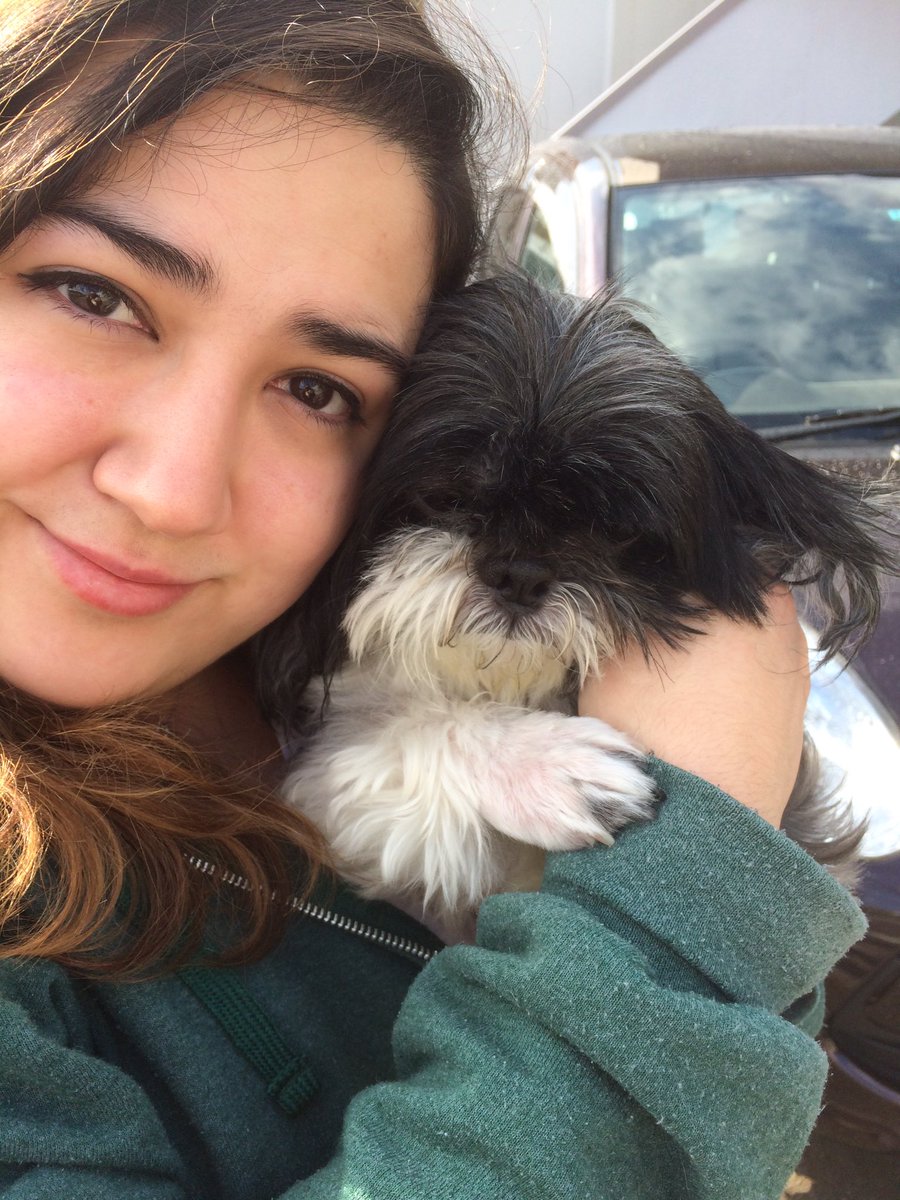 PokuTori's tweet image. Doctor says we can take Shiku home on the 5th of March. It's just gonna take time for her to walk again