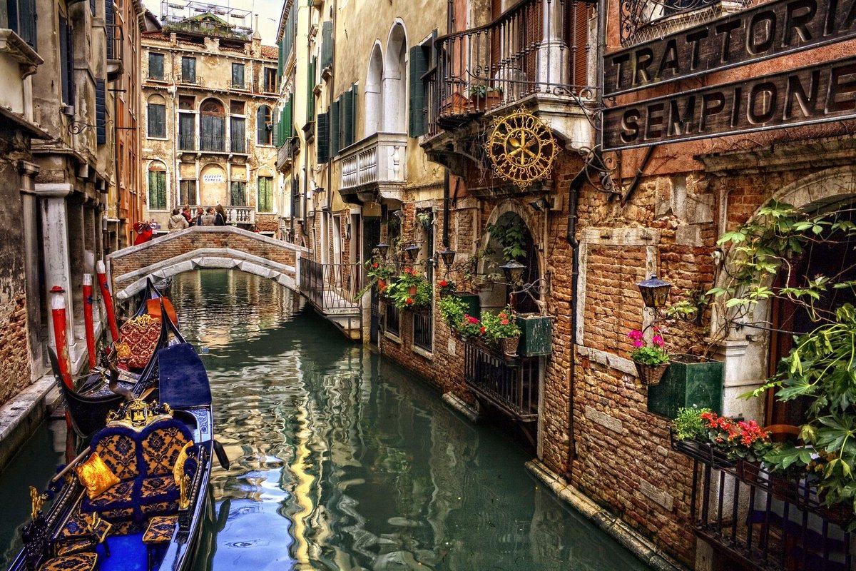 intactnature's tweet photo. Venezia! https://t.co/dQA5FyLKhw