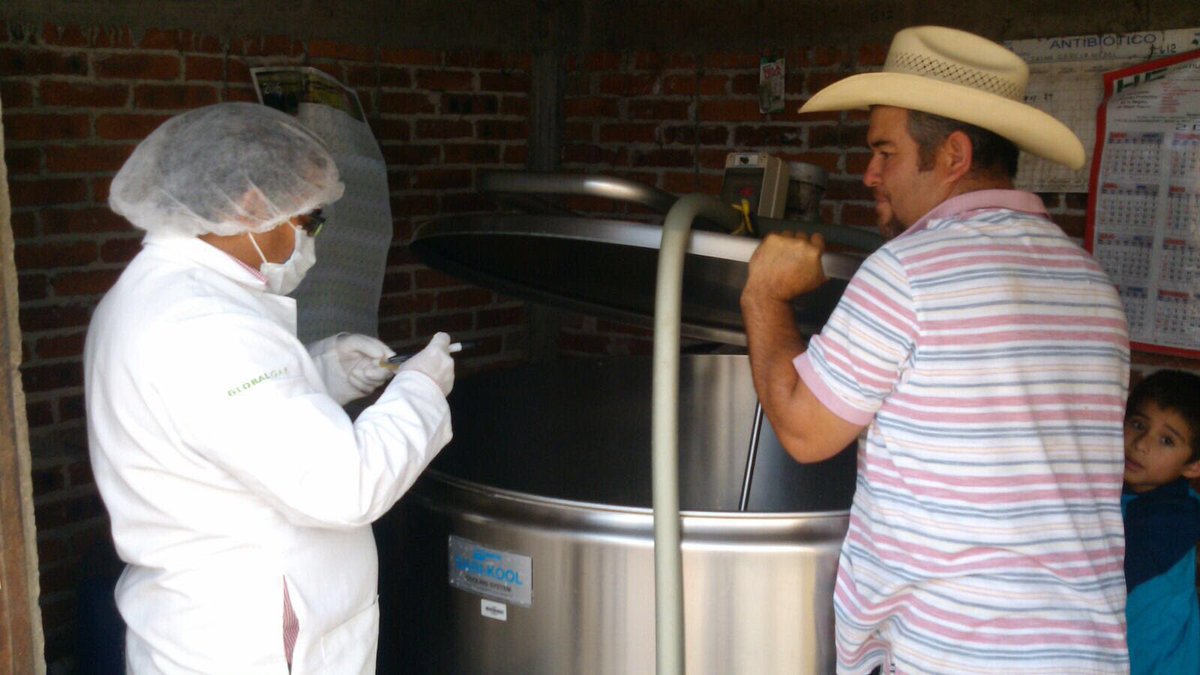 MCSProductores's tweet photo. Gracias a la Coordinación General de Ganadería #MCS realiza análisis de contaminantes para el sector pecuario. https://t.co/gUaORh39lK