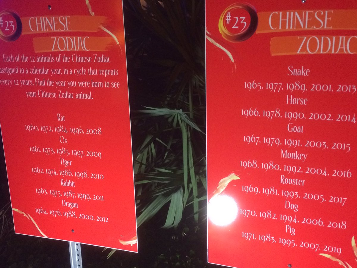 lizzy_welch's tweet photo. What's your #zodiac #yearofthesnake 🐍 #chinalights https://t.co/MromlG3GK8