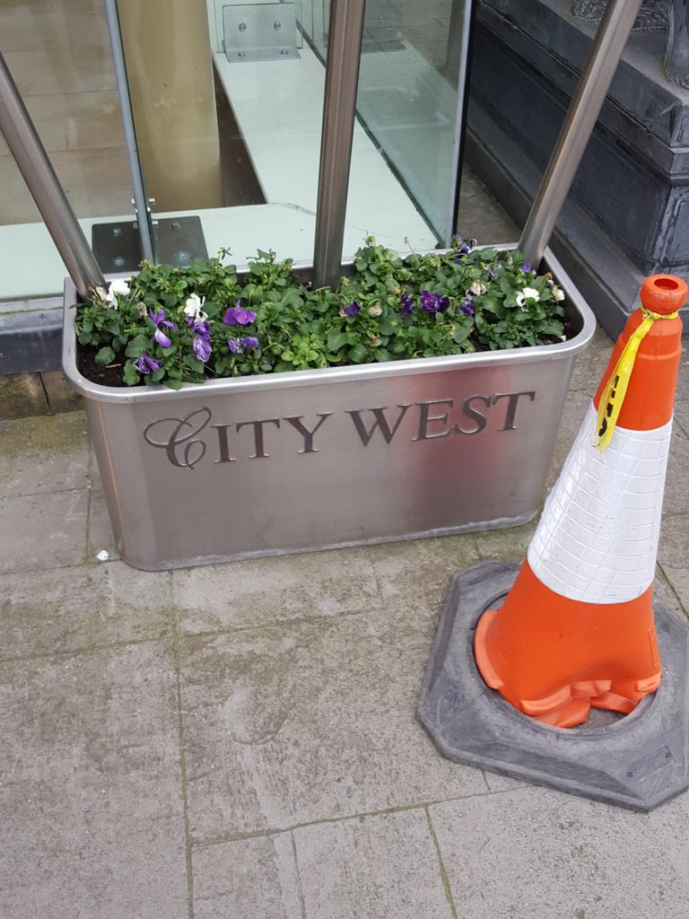 SpeedMerchants2's tweet image. City West #f1inschools