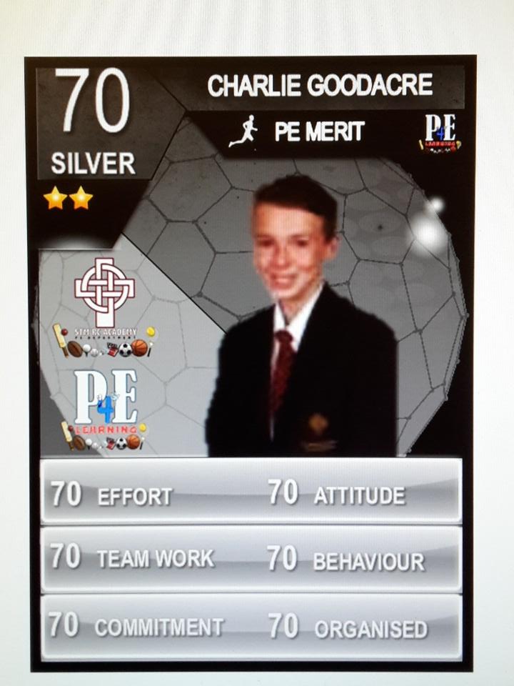 STM_PE's tweet photo. Well done to our @STM_PE SILVER Stars in PE #PELads #rolemodels #Legends https://t.co/juQ6D3pmfD