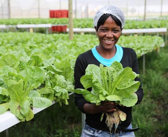 mungutisamuel's tweet photo. @F4YFKenya @RevolutionFVC @1YouthKE #youthinagribusiness taking shape in Kenya.And they come with amazing innovation https://t.co/9cRnqyCFB6