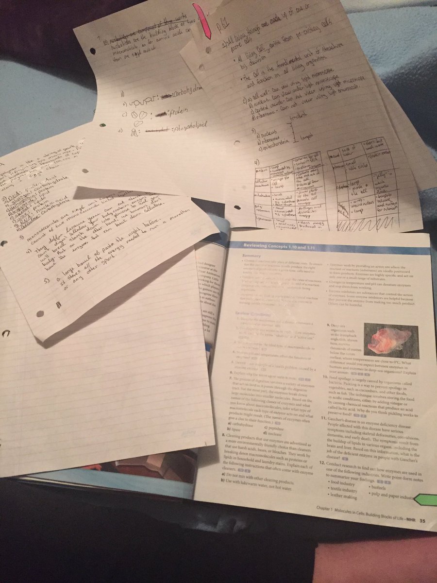 lucidpub's tweet image. NO 
NOOOO 
#scienceHomework