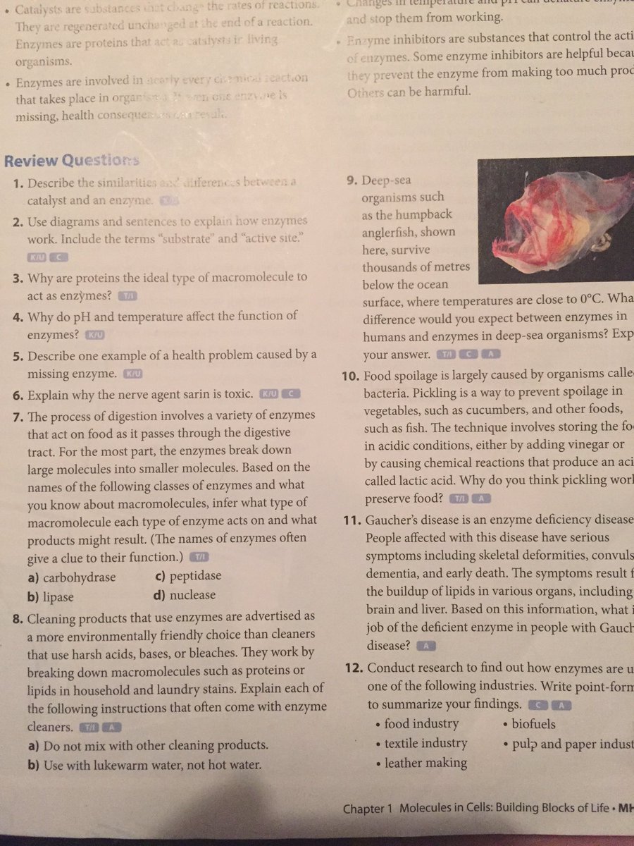 lucidpub's tweet image. NO 
NOOOO 
#scienceHomework