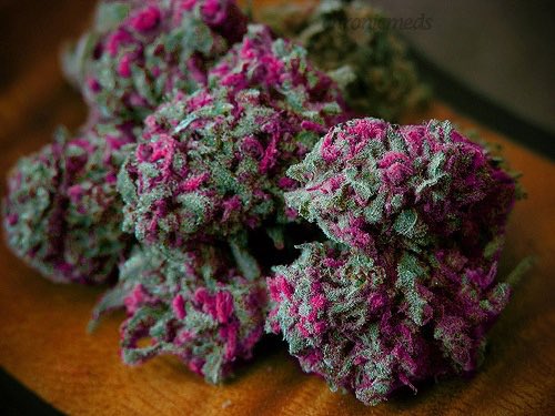 That_StoneShitt's tweet image. Holy sex...😱😮