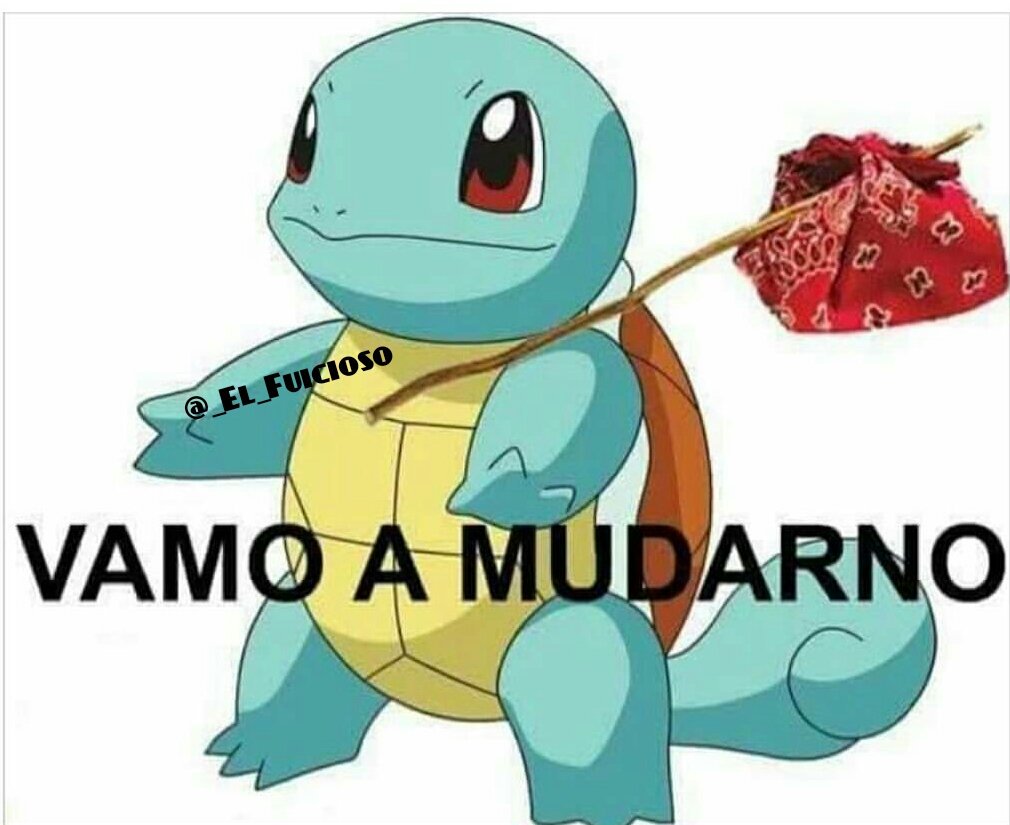 _El_Fuicioso's tweet photo. Cuando veo una cucaracha voladora, prendo la luz para matarla y ya no esta donde la había visto. https://t.co/yZGiwC0CIa