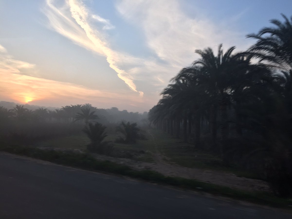 BenHannah3's tweet photo. Another nice sunrise in Alex #SunshineyAlexMorn https://t.co/Ayk8J5QRYQ