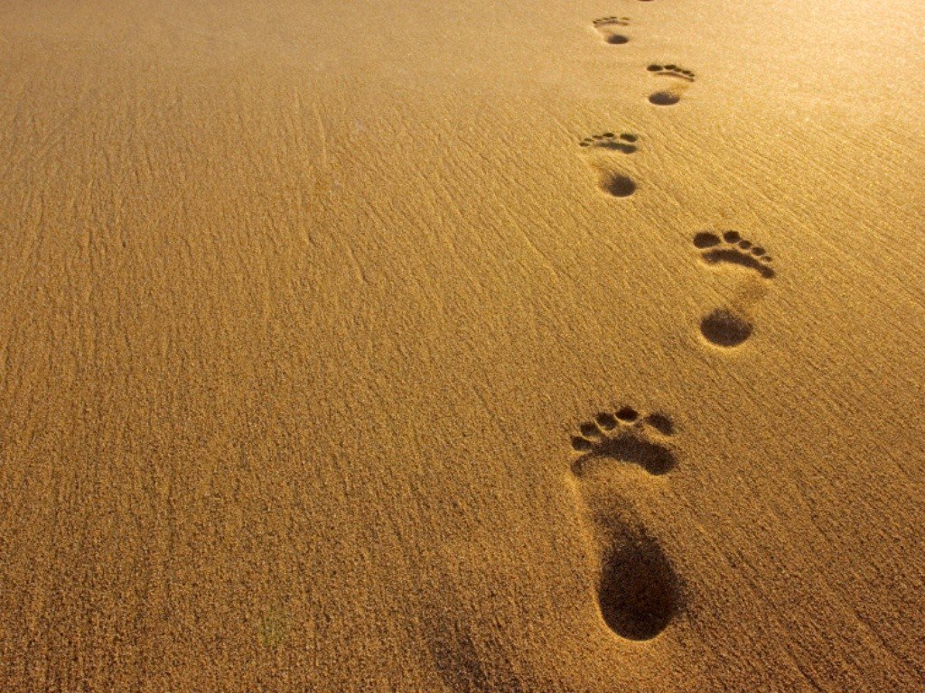 ecotravel tweet picture