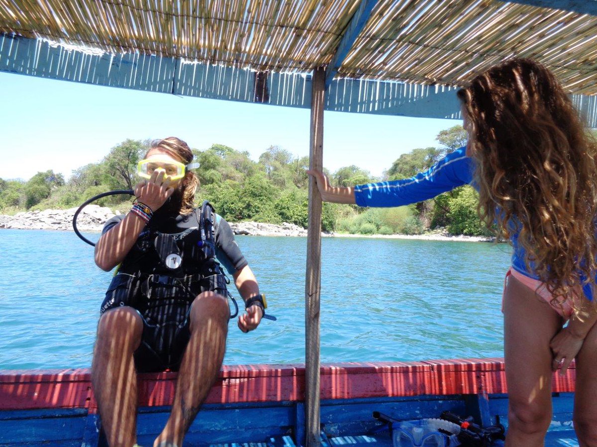 southluangwa's tweet photo. YES! We have a new amazing combi trip! 5 or 7 days #diving AND #wildlife #safari in #CapeMcLear and #Liwonde! https://t.co/gtUvxaLRVB