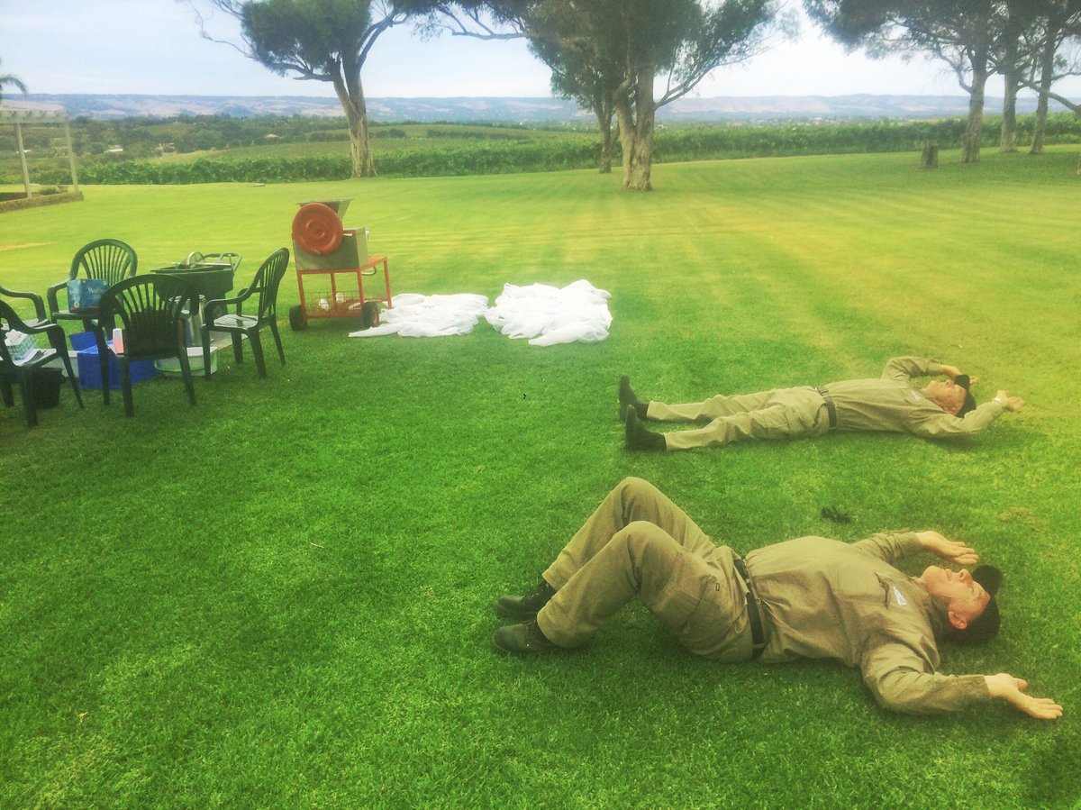 The Viti team working hard tasting the final juice samples for the 2016 Verdelho, before its harvested tonight! #v16