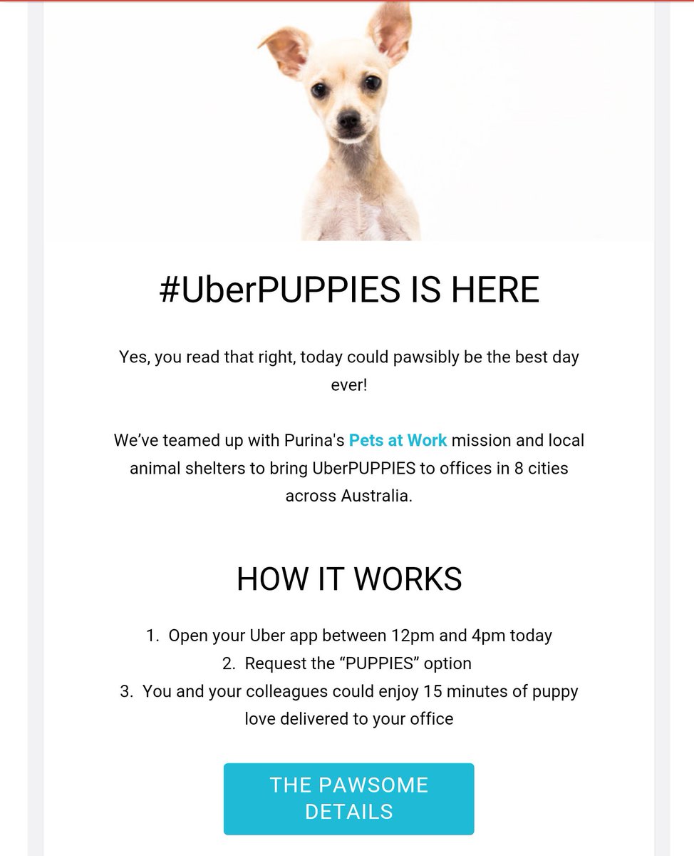 uberoutrage's tweet photo. @mikebairdMP @Qldaah when the news is #uberbad like #kzooshootings, wheel out the puppies /kittens. #Sydneytaxi https://t.co/0PCcakrDhk