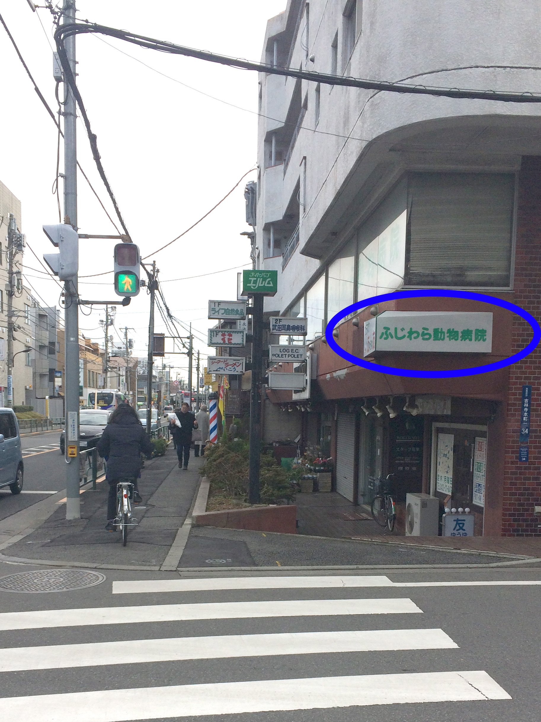 Huhu ふじわら動物病院の看板 ウ ィンテージギターの看板 バイク収納の看板があります そこを過ぎて少し直進して頂くと ふふふないきもの展に到着です メンバーがあたたかいお飲み物を用意してお待ちしております T Co