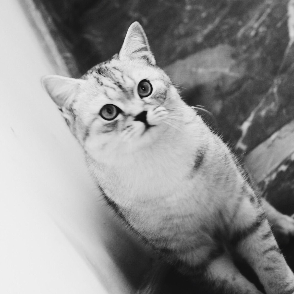 yomikatze's tweet photo. 同じく、 https://t.co/pgg0T0EO3P
