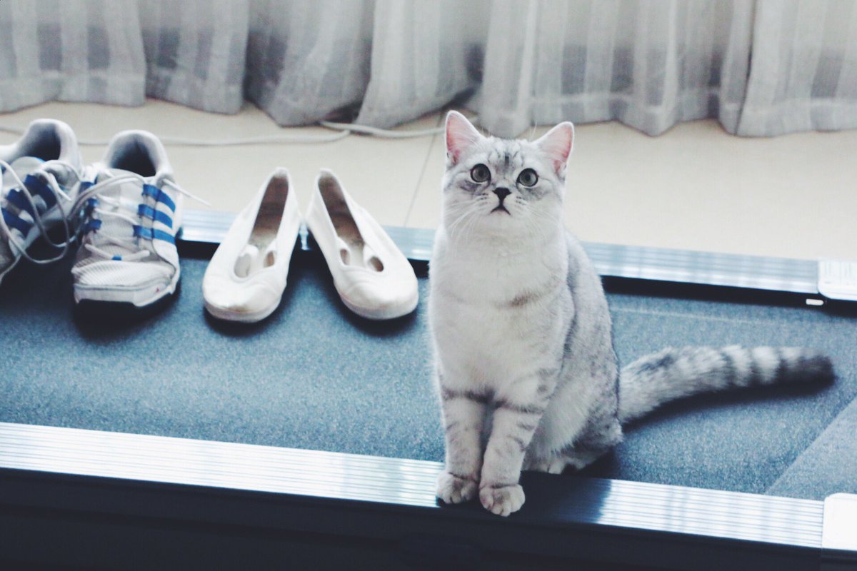 yomikatze's tweet photo. 半歳のお誕生日おめでとう！ https://t.co/jbJCc1PeB6