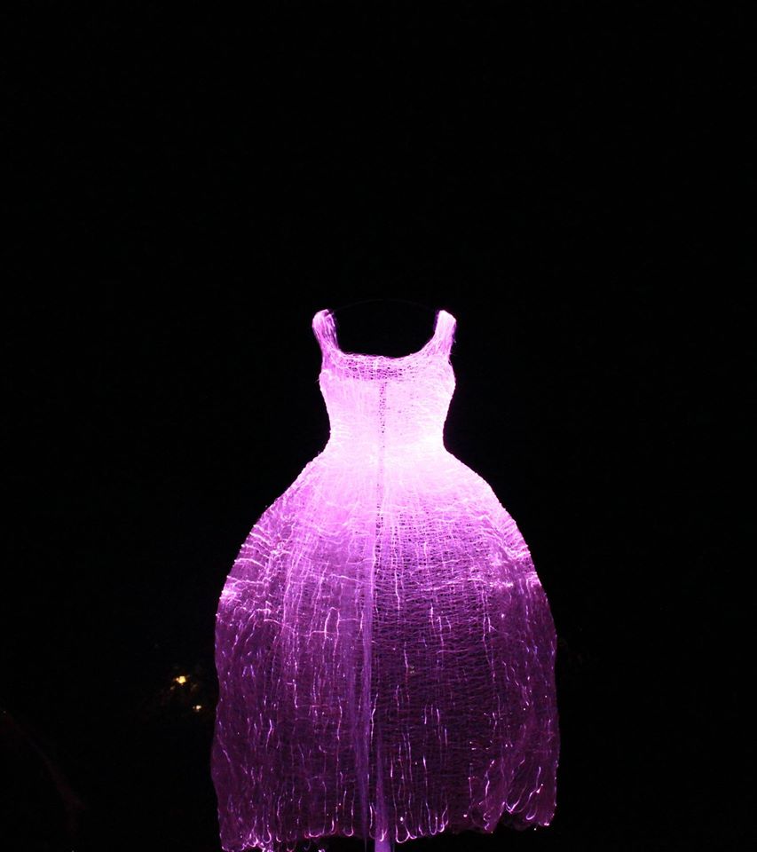 tijanatri's tweet photo. Dreamy illuminated #dresses at the #Queenvictoriagardens on Saturday's @whitenightmelb by Tae Gon Kim https://t.co/fccivh0Nk4