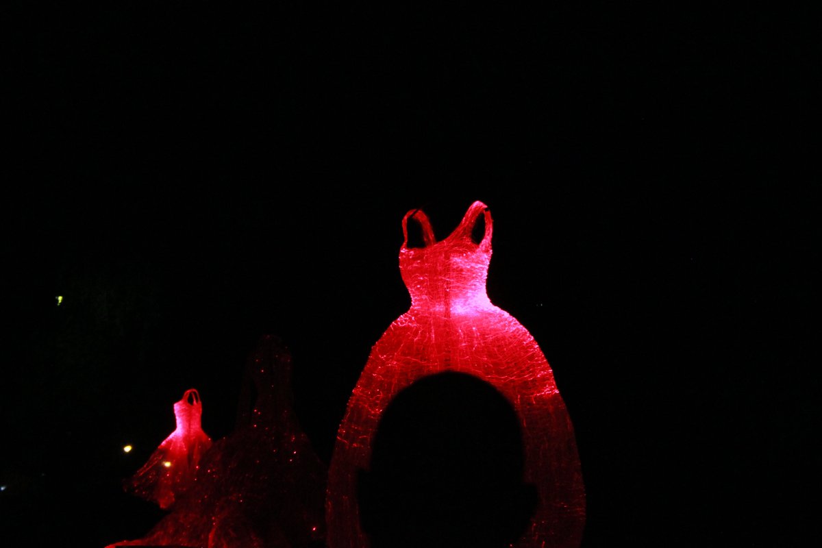 tijanatri's tweet photo. Dreamy illuminated #dresses at the #Queenvictoriagardens on Saturday's @whitenightmelb by Tae Gon Kim https://t.co/fccivh0Nk4