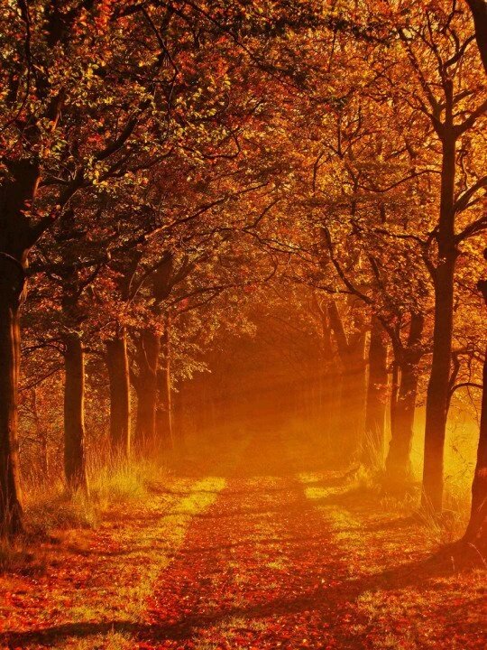 <a href="/marienassar_/">Marie Nassar</a> 
Good morning :-)) 🌷🌷