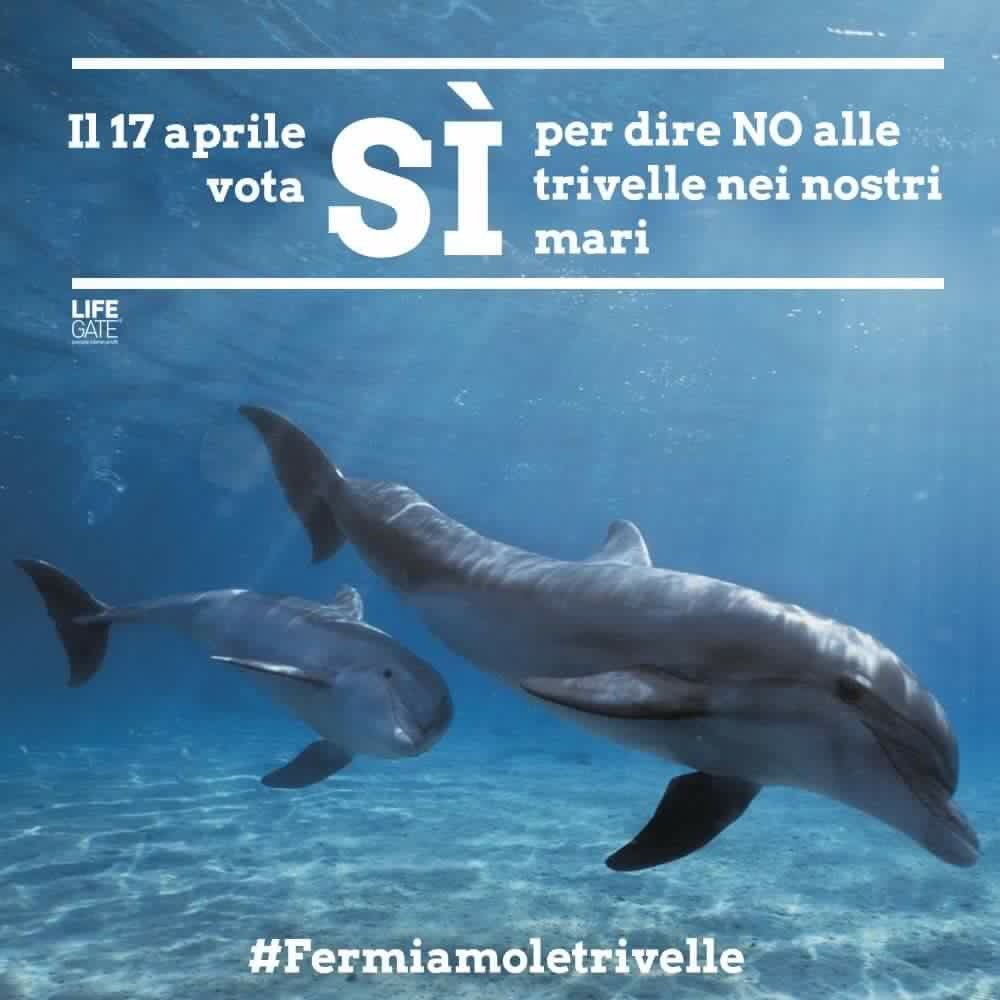 lifegate's tweet photo. Il 17 aprile vota SÌ per dire no alle trivelle nei nostri mari! #notriv #notrivelle https://t.co/LhQOFQnOhq