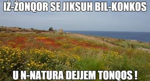 BriguglioMike's tweet photo. #Malta #TaghhomBiss #Oligarchy #MaltaNotForSale https://t.co/jqRomU91Jd