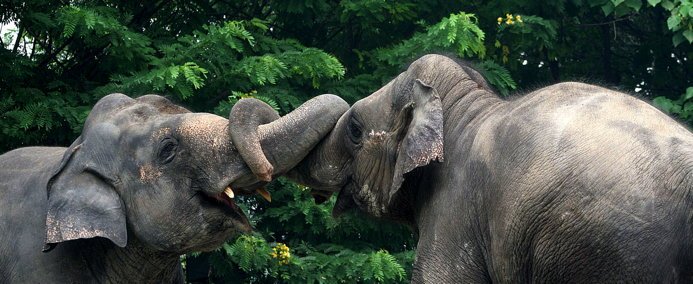 powerofhug's tweet photo. @ShhaliniAttre Everybody needs a hug :D https://t.co/Fe7Dw0v5FM