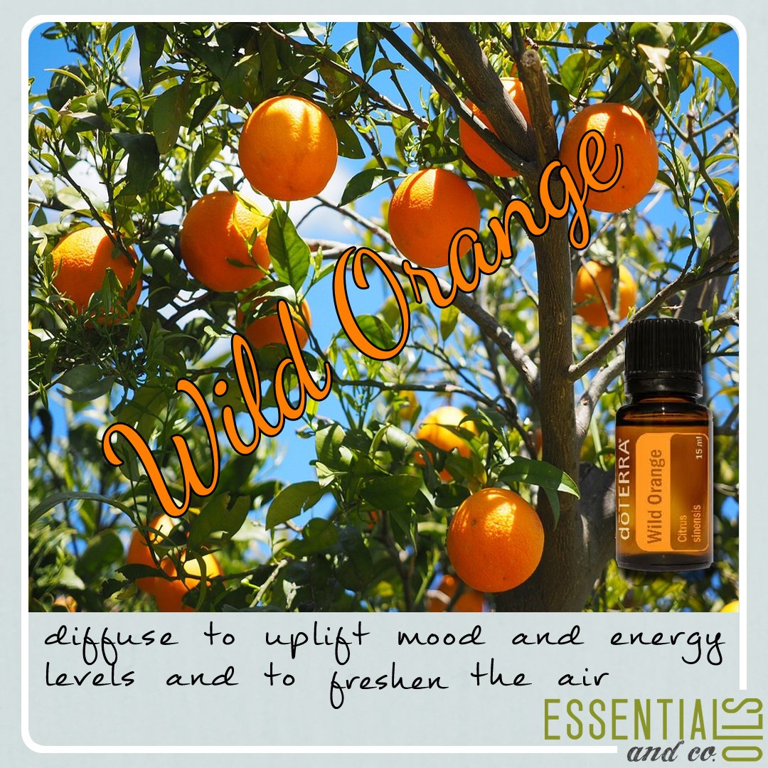 EO_and_Co's tweet photo. I love to #Diffuse #WildOrange while I'm cleaning to give me a boost and to freshen the air. https://t.co/raJI4VAuus