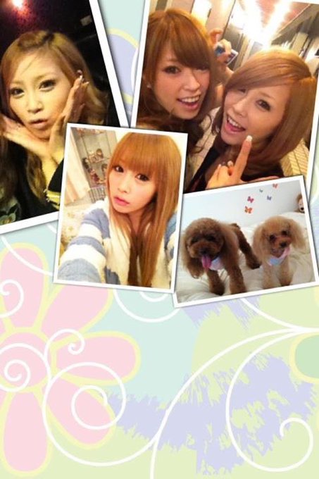 中西里菜さん 26 の光と影 Akbアイドルからの転身からの現在は 芸能drip 世間で滴るエンタメ情報