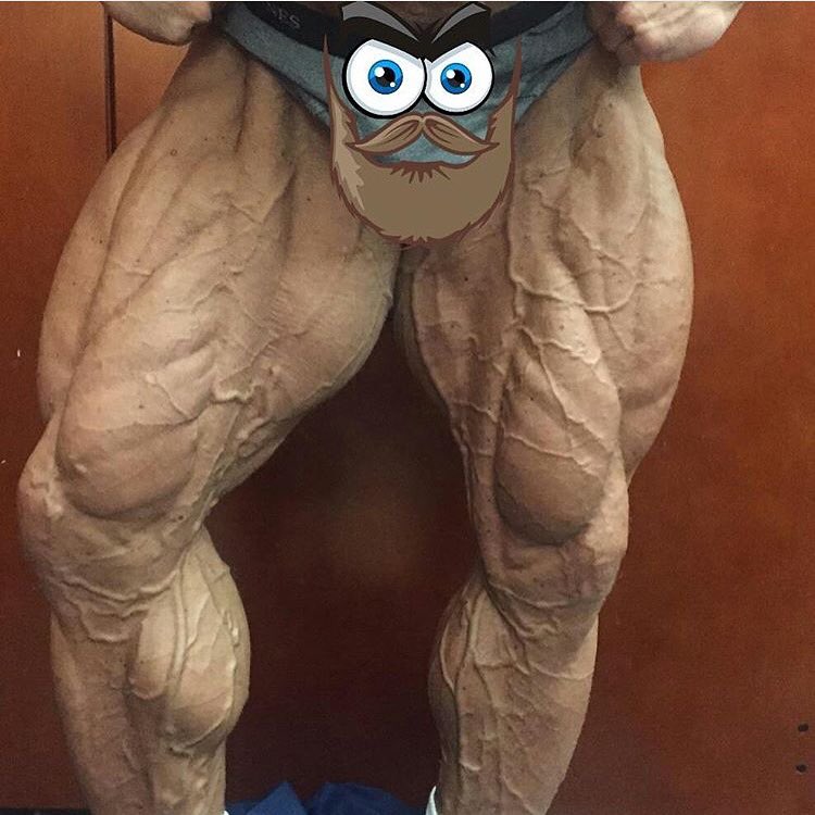 SquatSocks's tweet photo. Who loves legs π£
TAG A LEG LOVER
#legday #legs #squats #squatsocks #motivation #gym #fitness
@squatsocks https://t.co/bCb7HxzWN7