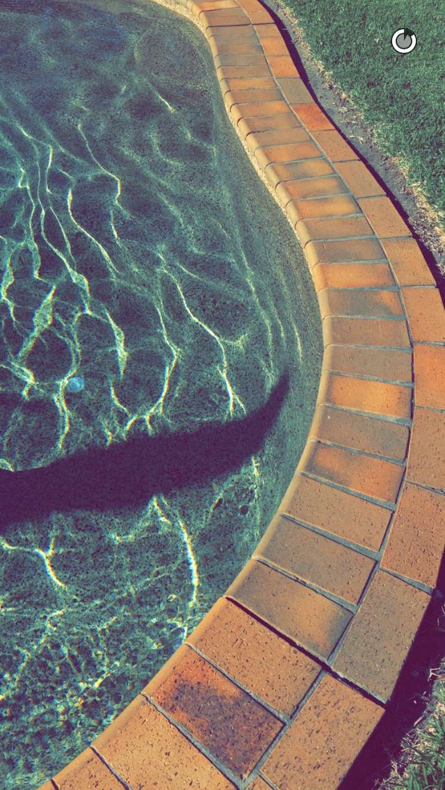 InStereo_AU's tweet photo. @chrislanzon on sc! https://t.co/Q6kTrzWf7k