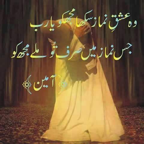 ziani_noor's tweet photo. #i just want😭😘❤💙 https://t.co/pcowwu9j4I
