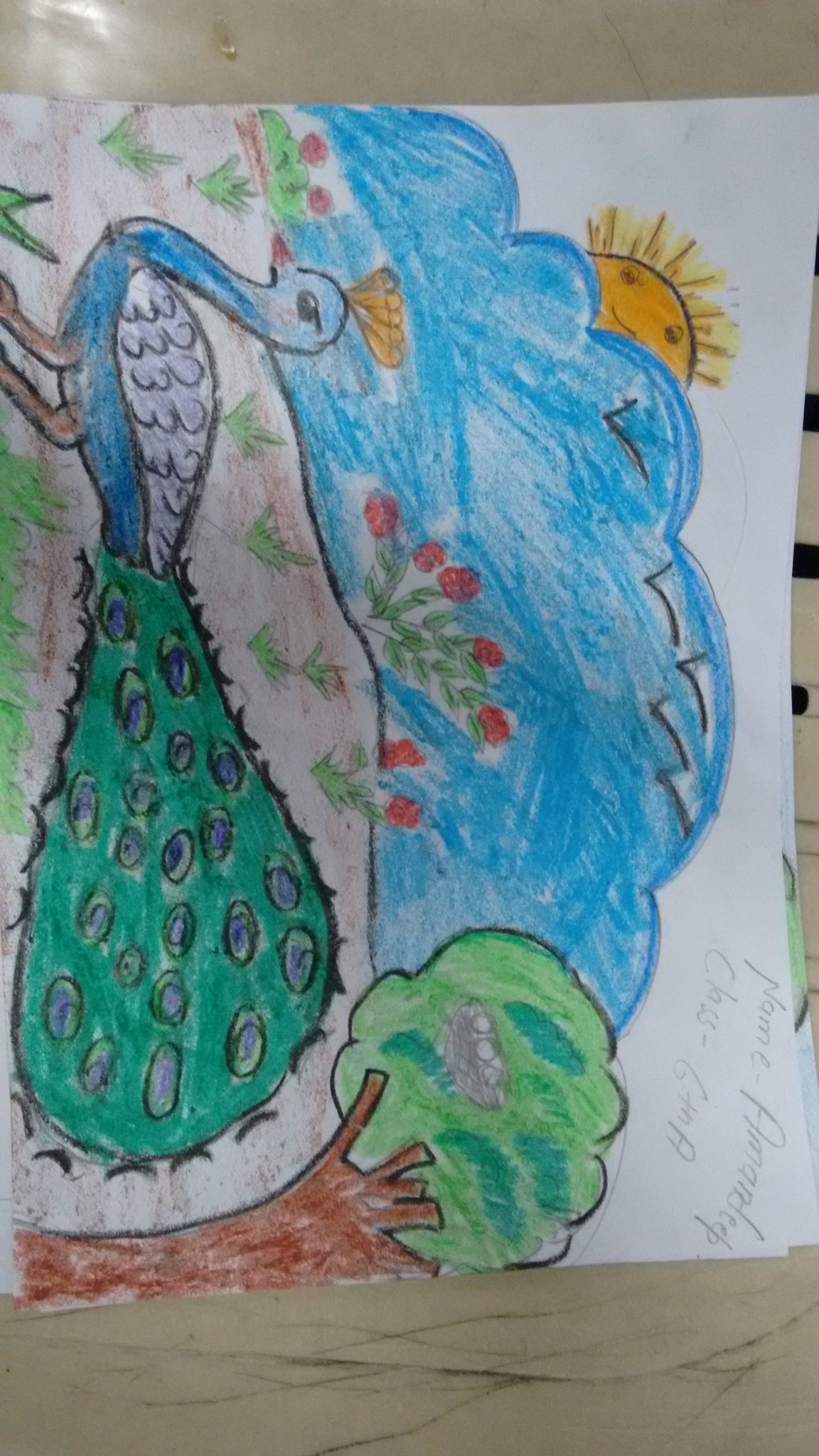 Drawing for 2024 class 6