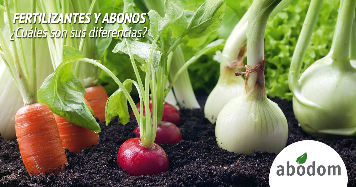abodomrd's tweet photo. FERTILIZANTES Y ABONOS ¿Cuáles son sus diferencias? (1/3) https://t.co/djBWOHjFih
