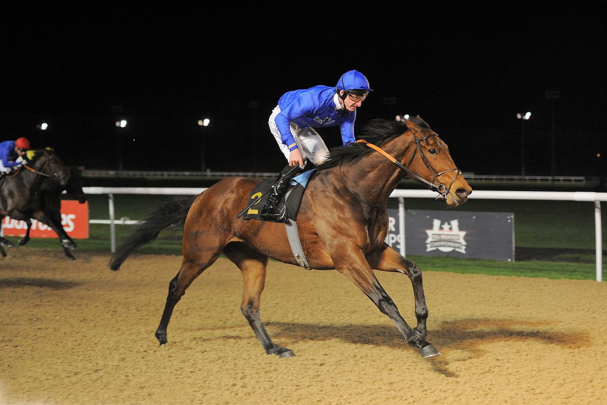 WolvesRaces's tweet photo. The Winter Derby decs are in for @LingfieldPark, 2 #WolvesForm winners in the field #FestiveFare #Complicit https://t.co/ukpmCCVzGA
