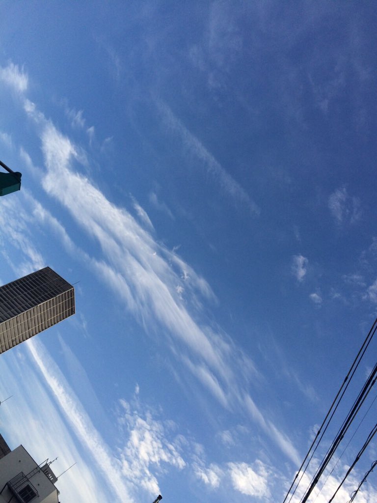 今日は天気が良かった〜！
明日も晴れだー
後2日でまたイチゴ姫が
現れる！！！皆お楽しみに〜😍