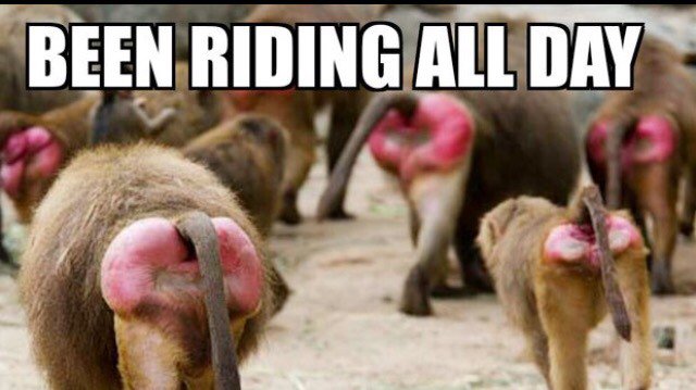 TeamDucati1198s's tweet photo. @texastornado5 @tromanko I remember this from TTBC...use the bond! And still worth the raw butt!! #rawbutt https://t.co/A9oswGhnEv