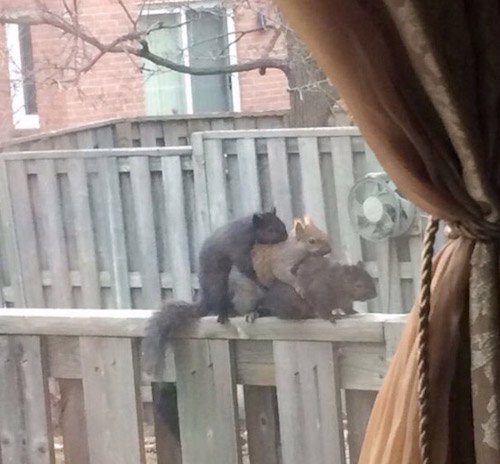 Flootoutcourt's tweet image. L'état / Mon patron / Moi...

#OnVautMieuxQueCa