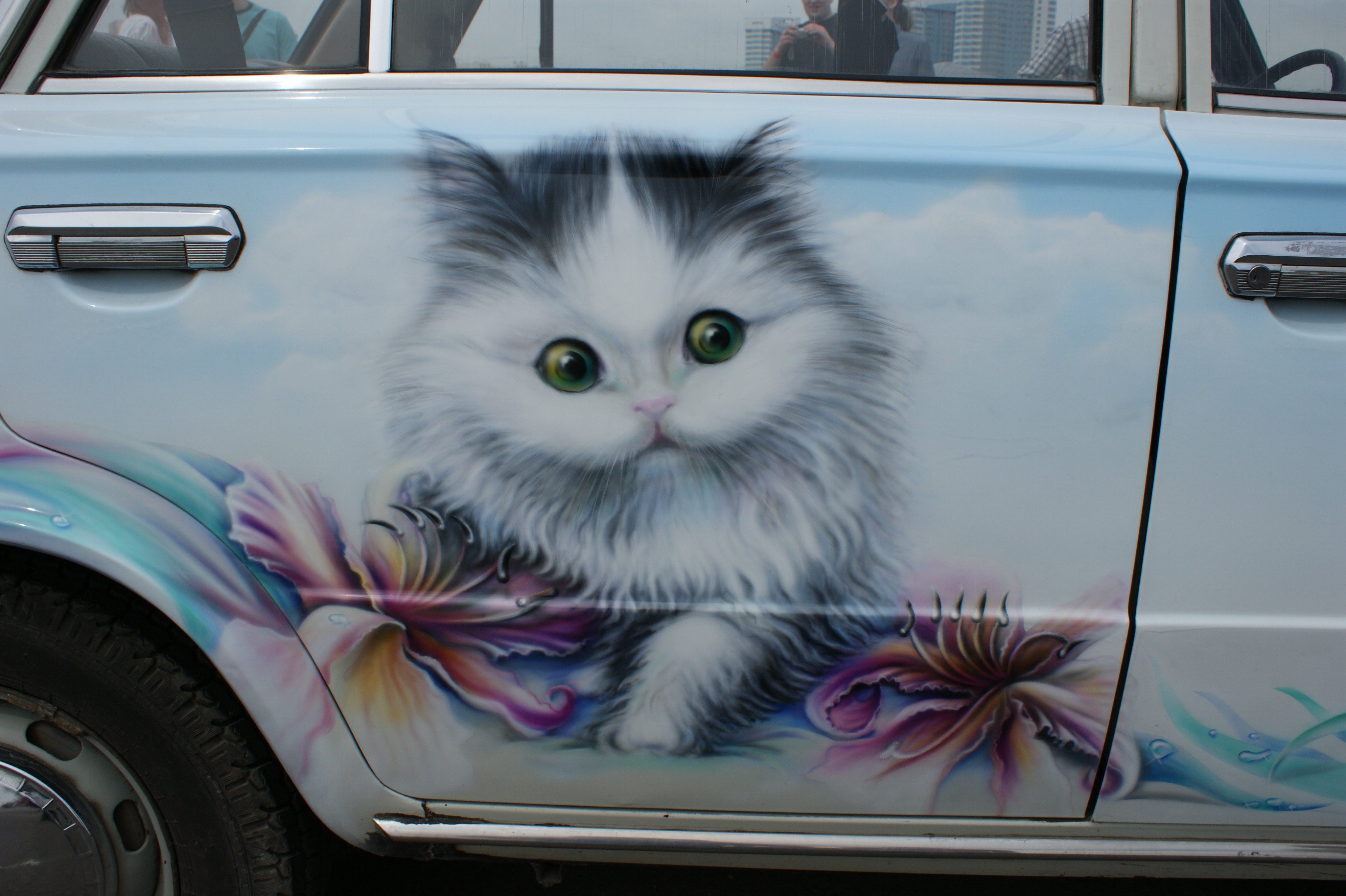 Аэрография кошка
