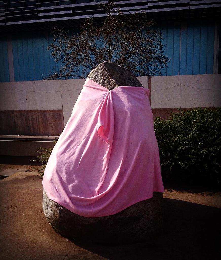 VANCITYsBEST's tweet photo. WOW check out the great photo by @garlicjoy https://t.co/sOSJZh19Uw swathed boulder is smiling #pinkshirt #antibul… https://t.co/euTWiDNP2E
