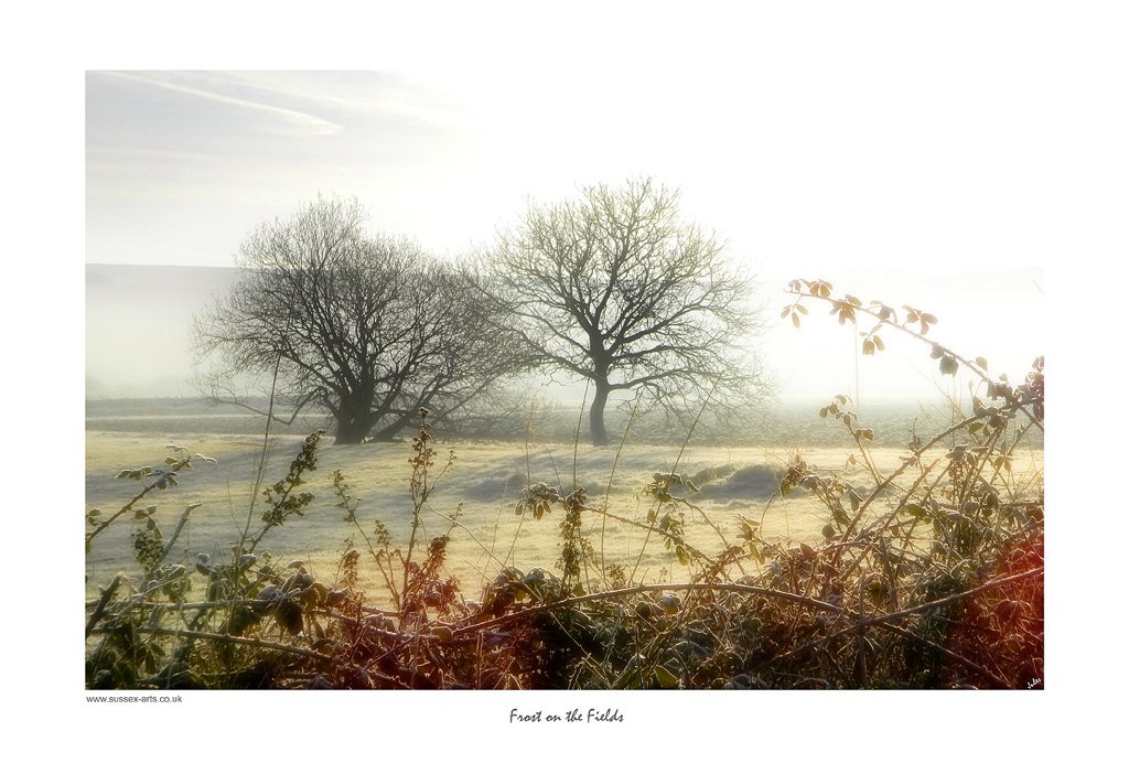 Frosty morning! #shoreham #worthing #sussex <a href="/nakedeyegallery/">Naked Eye Gallery</a> <a href="/lemonfizzgifts/">Lemon Fizz Gifts</a> <a href="/WorthingJournal/">Worthing Journal</a> <a href="/UKArtistFinder/">UK Artist Finder</a> #photo