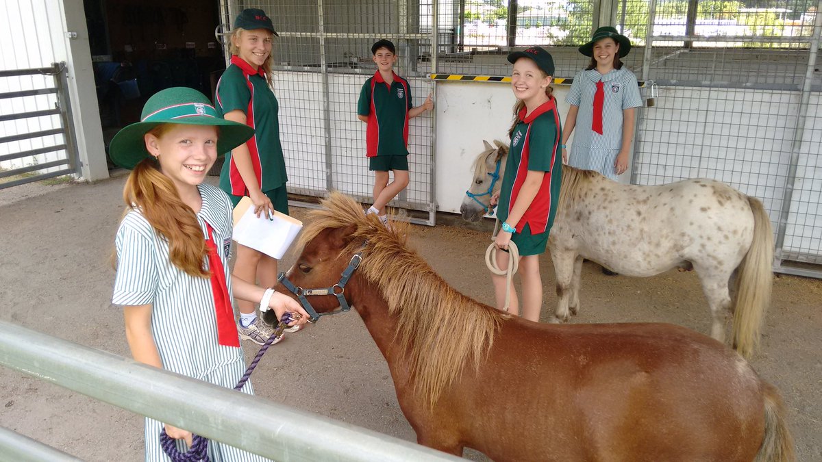 BerakahFarm's tweet photo. Trying to get students to consider Ag? Use Miniature Horses! #AgEdu #agchatoz #middleschoolag https://t.co/v5tqnymYzu