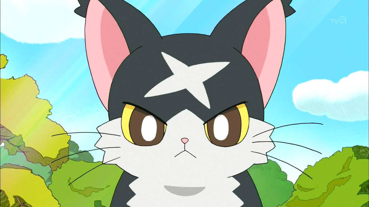 Tka24 額に十字傷を持つ猫 Cocotama T Co 0465mievlh Twitter