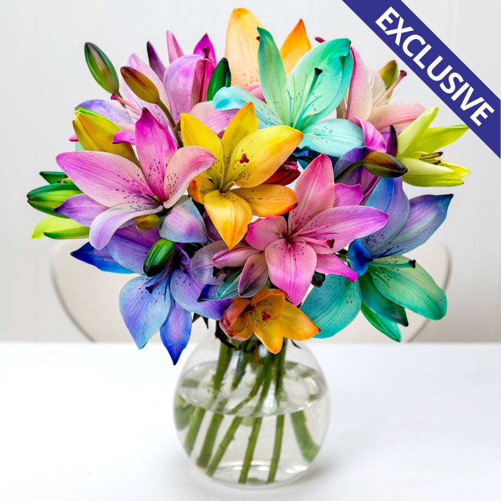 Rainbow lilies deals