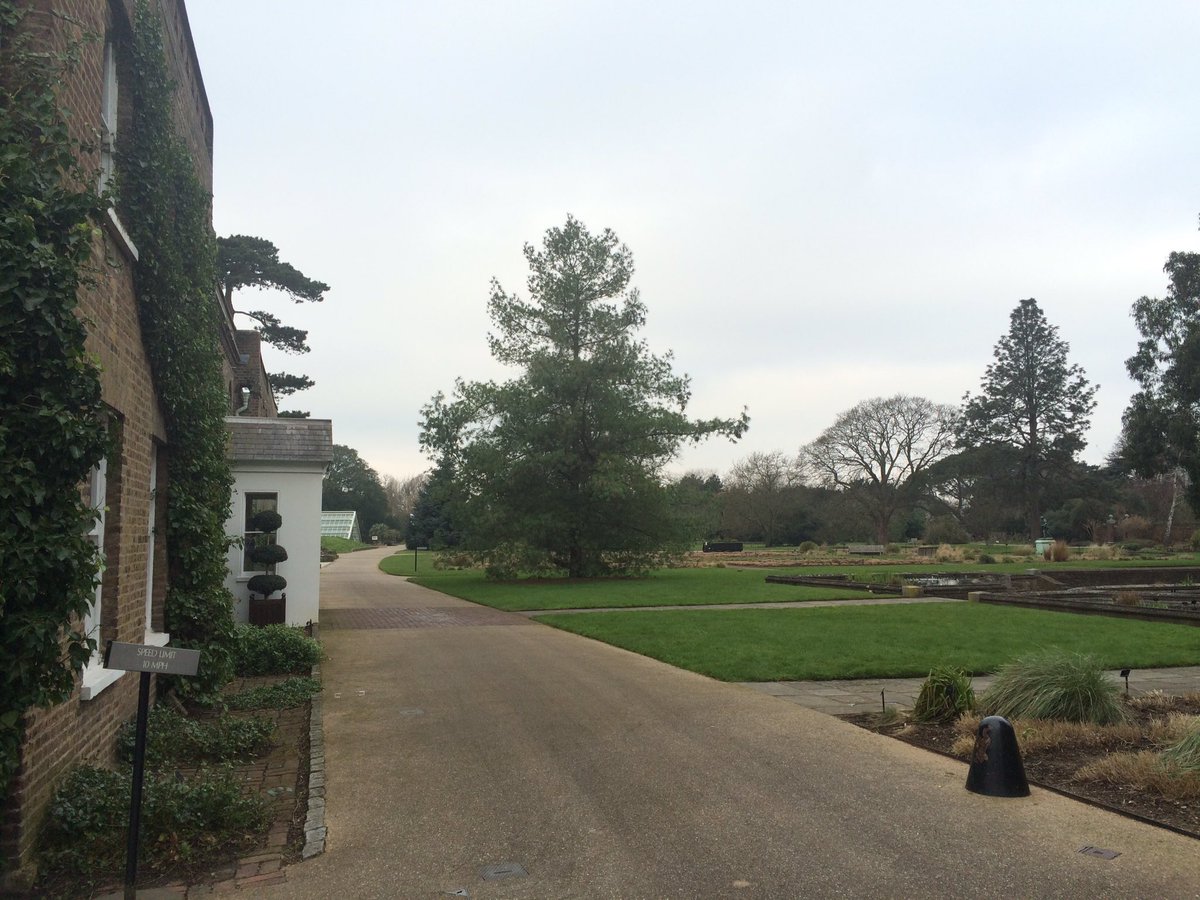 IPSN_BGCI's tweet photo. @IPSN_BGCI diagnostic workshop today @kewgardens @SJRAfloat @FeraScience @CABI_News #TreeHealth16 #Genie #lfds https://t.co/brHyKSbmYg