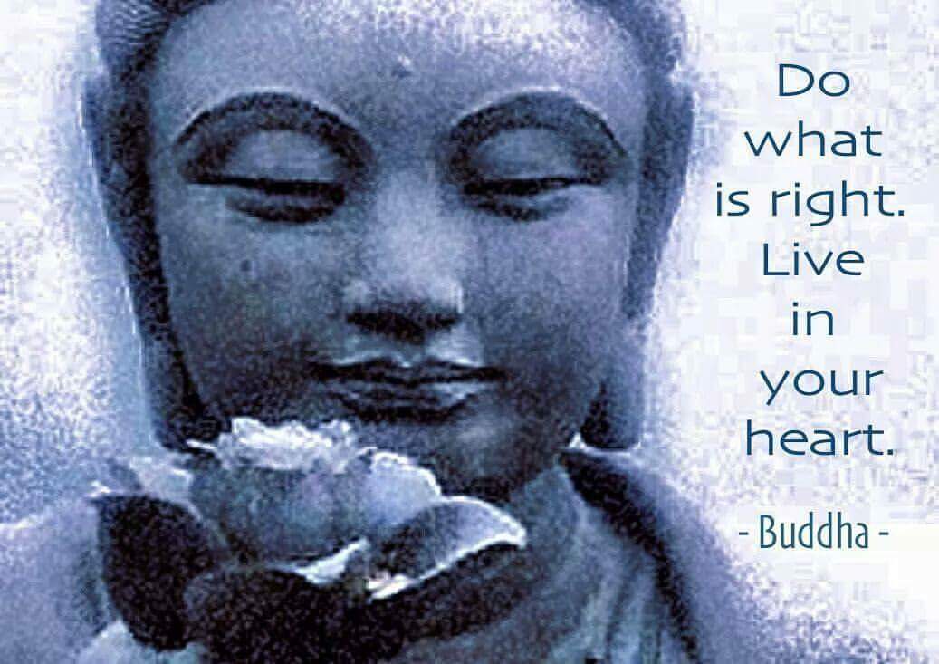 drskramesh's tweet photo. Thought for the day! #drpf #drskramesh #acetomef #awareness #heart #meditation #presentmoment #trueself #truth #love https://t.co/dglrzf62o8