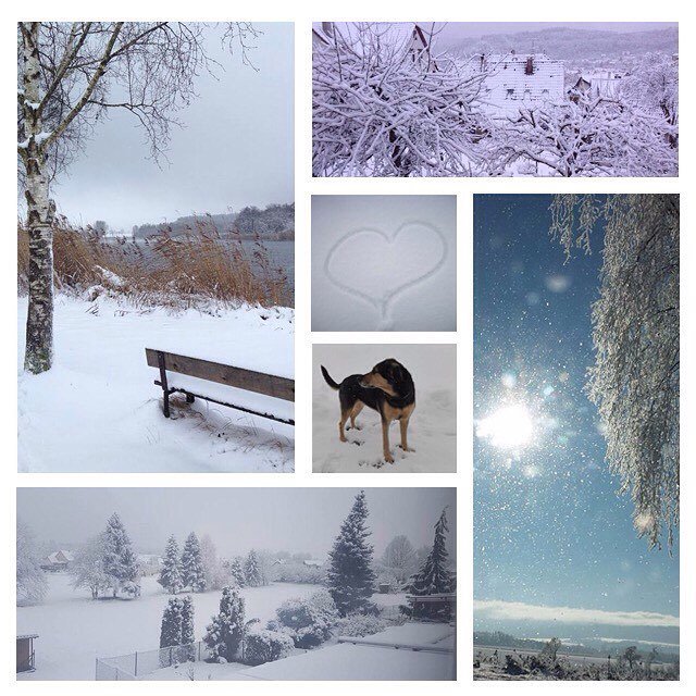 Schwaebische's tweet photo. Hier sind die schönsten Winterbilder unserer User: https://t.co/ogVqlc06qq #winter #schne… https://t.co/GG3394B7xL https://t.co/I72IVW4hzX