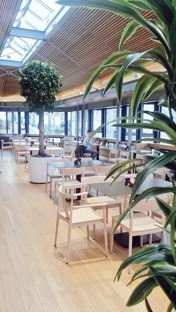 WorldGolfMuseum's tweet photo. Finished! We love our new trees @cafeatthemuseum. We're open now for your morning coffee! #coffee #trees #standrews https://t.co/S2cWN9G3WM