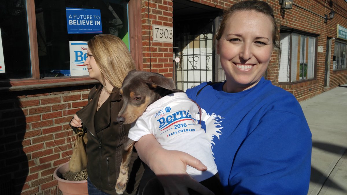 CampaignWrks's tweet photo. @MingoHowl @ladybugpicnics @BernieSanders @Dogs4Sanders last weekend at the new #CLE office opening #Grrrrr https://t.co/3iNW6ZgJlm